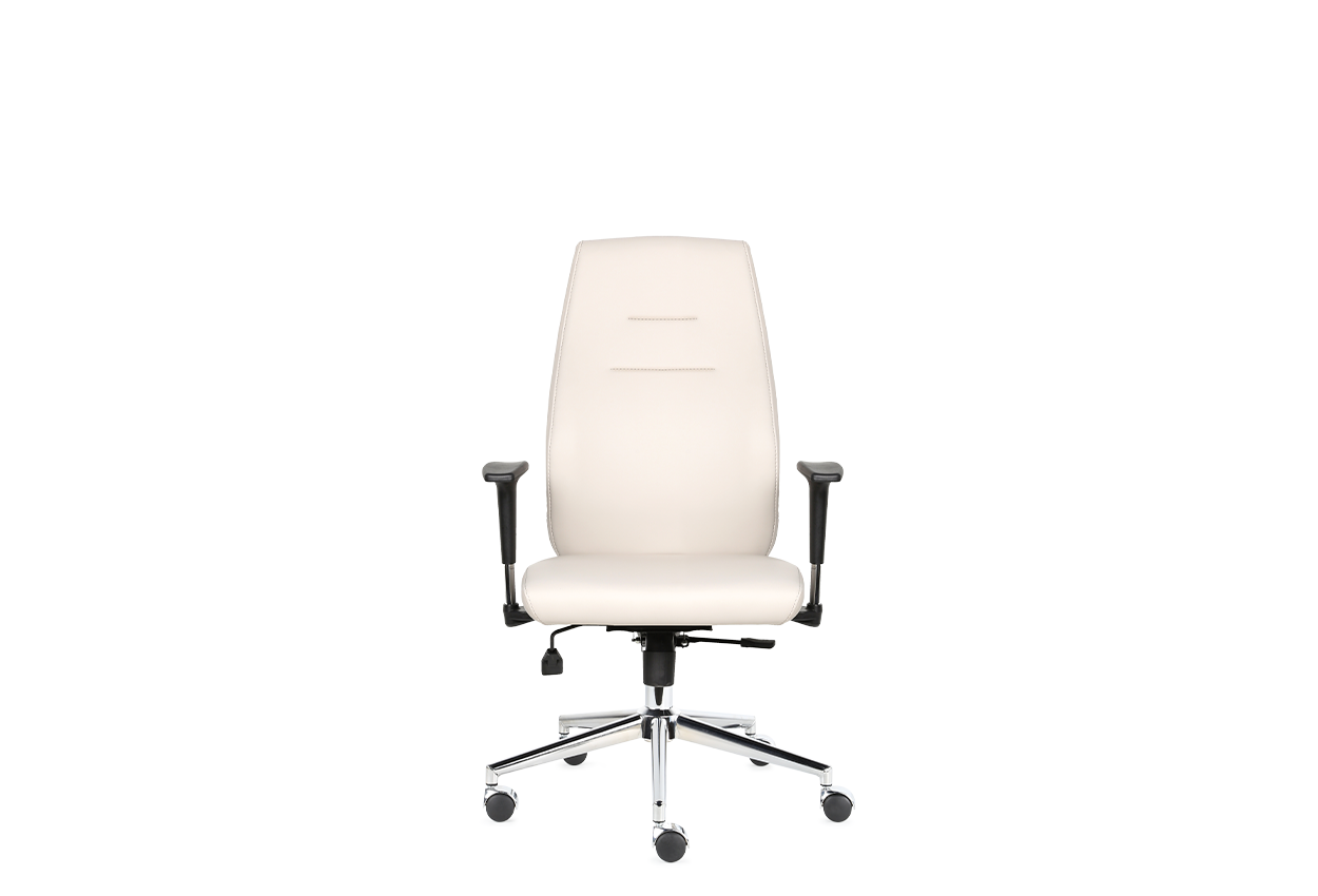 Darvin Ofis Koltuğu