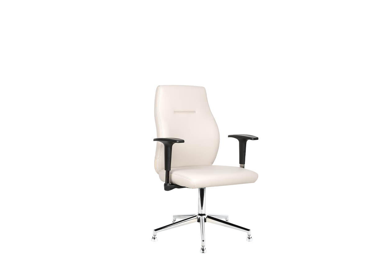 Darvin Ofis Koltuğu