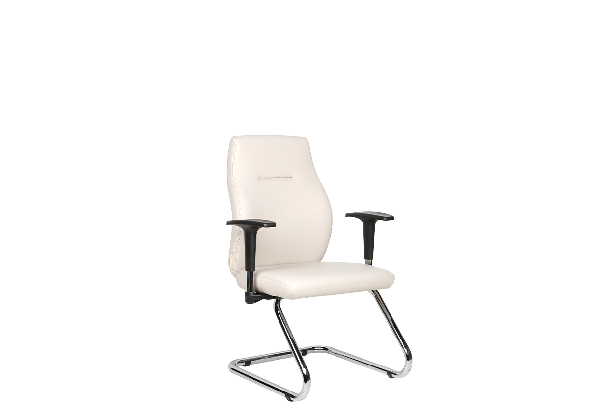 Darvin Ofis Koltuğu